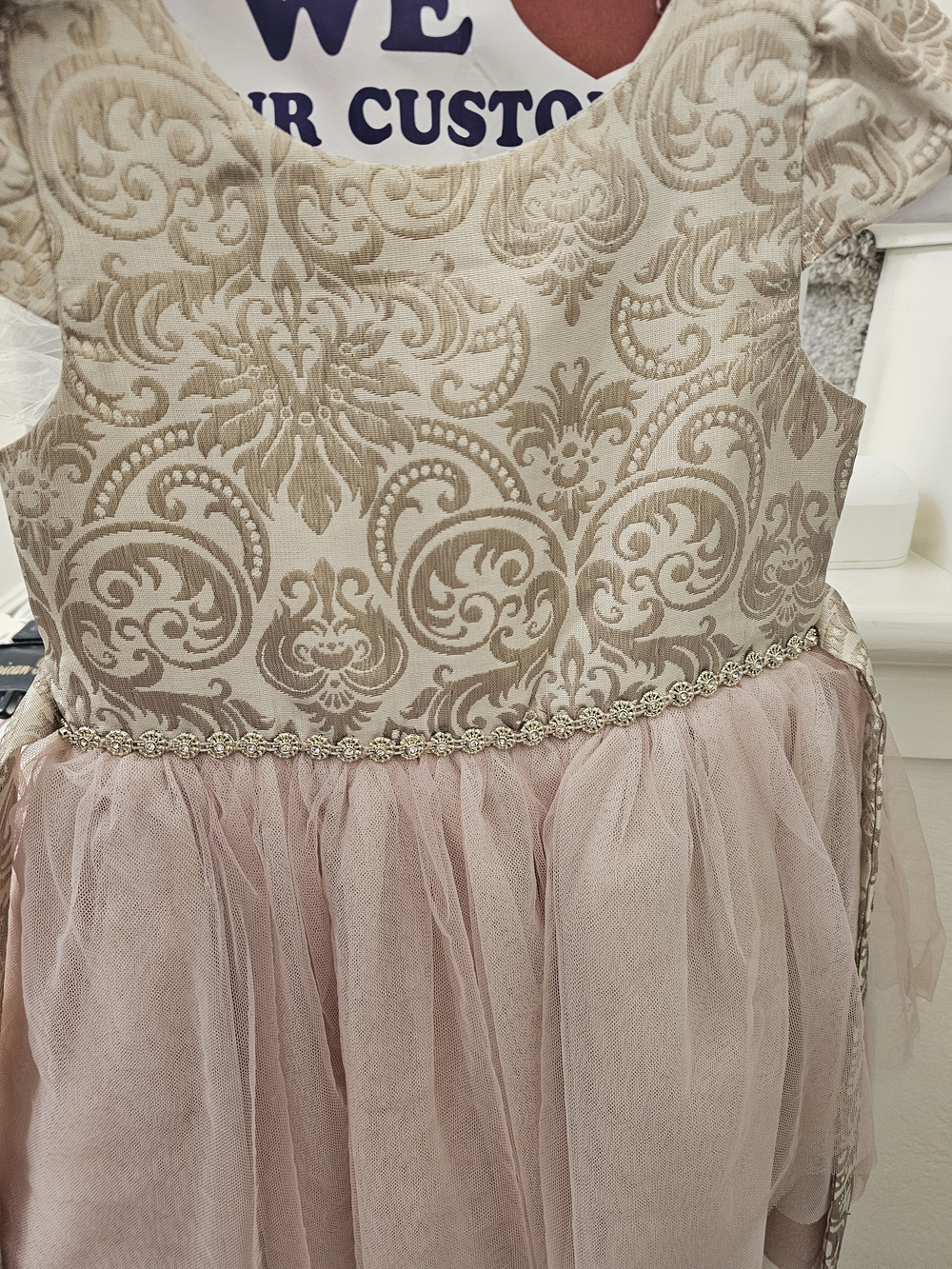 Girls Beige Brocade and Pink Tulle Theater Dress with Decorative Waistband